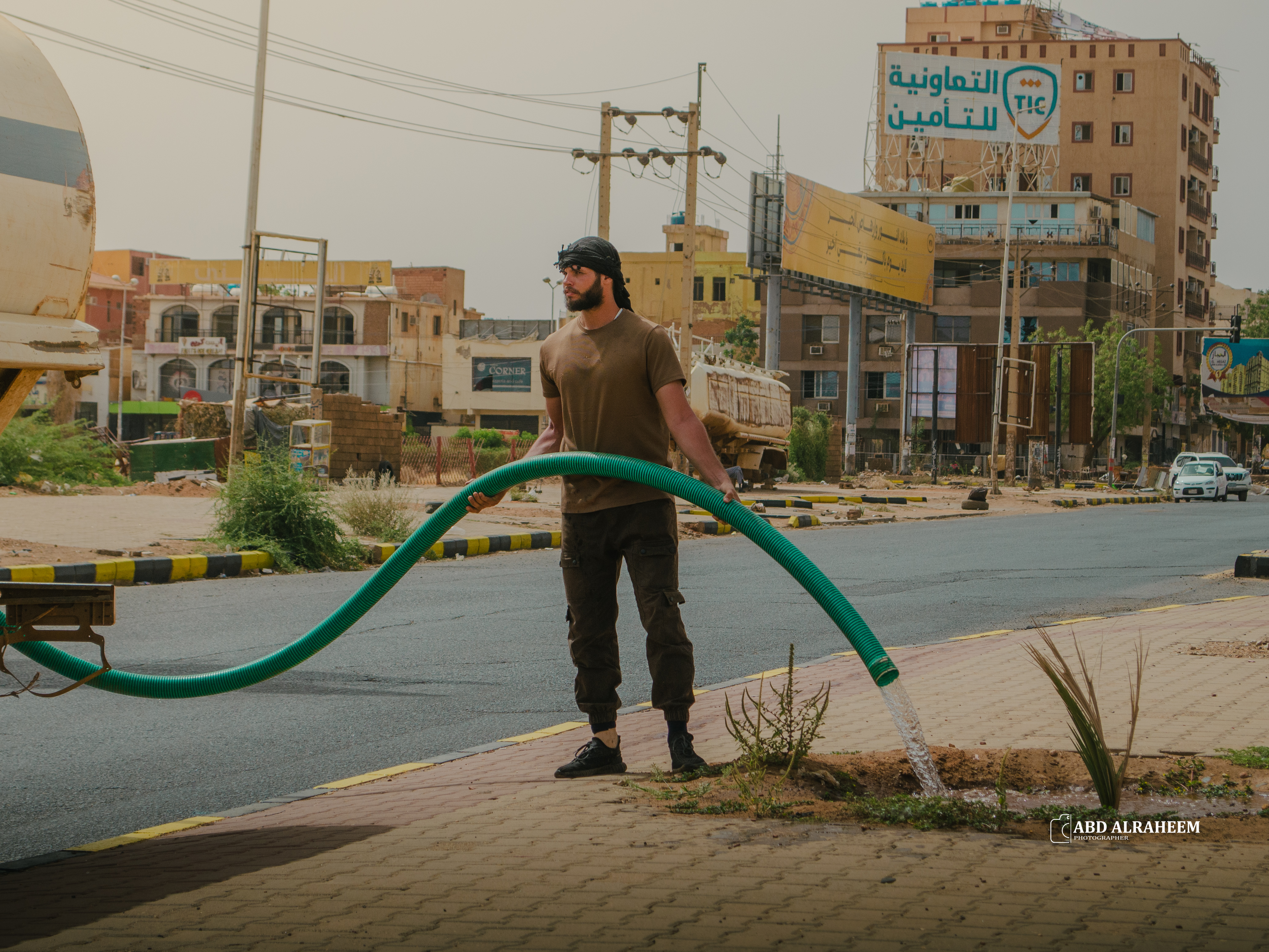 تحقيق هدف الألف شجرة
